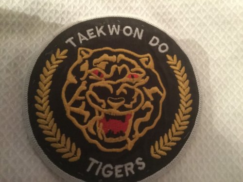 Photo of Taekwondo badge