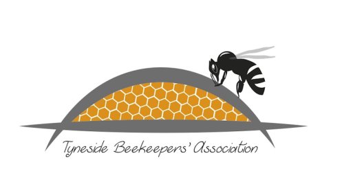Logo of a single bee landing on honeycomb