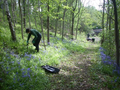 photo of a volunteer cleaning the park