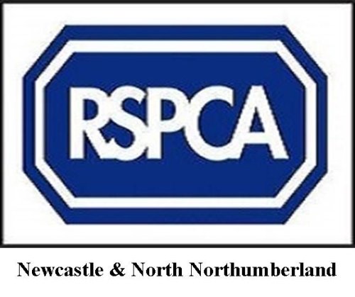 RSPCA Newcastle & North Northumberland