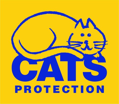 Illustrated cat sleeping on words: Cats Protection. Blue on yellow background