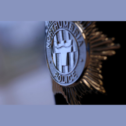 picture of part of a police officer's helmet showing badge on front