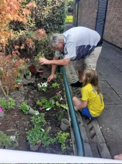 volunteer planting shrubs in small garden