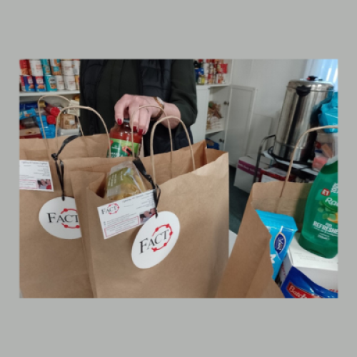 Image of bags with FACT written on them