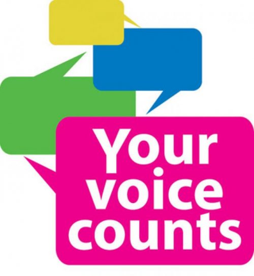Your Voice Counts Logo