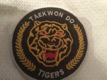 Photo of Taekwondo badge