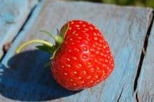 close up of a strawberry on a blue wooden bench