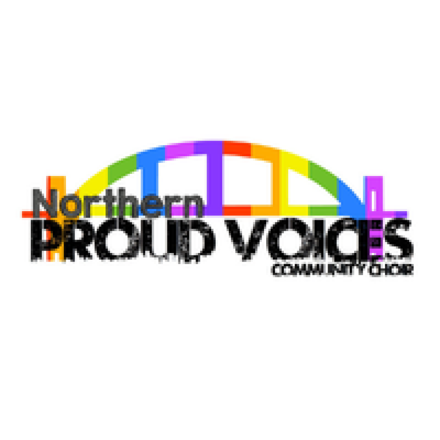 the words: Northern Proud Voices in front of a rainbow coloured illustration of the tyne bridge