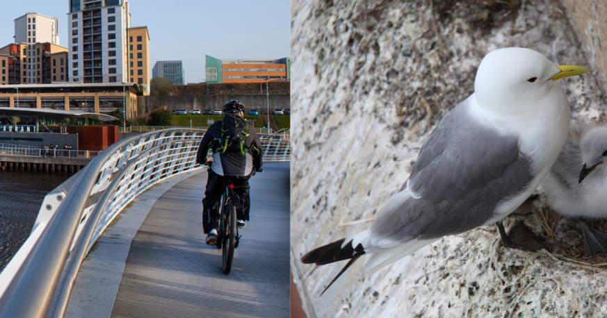 Foundation Press: Starting Lines