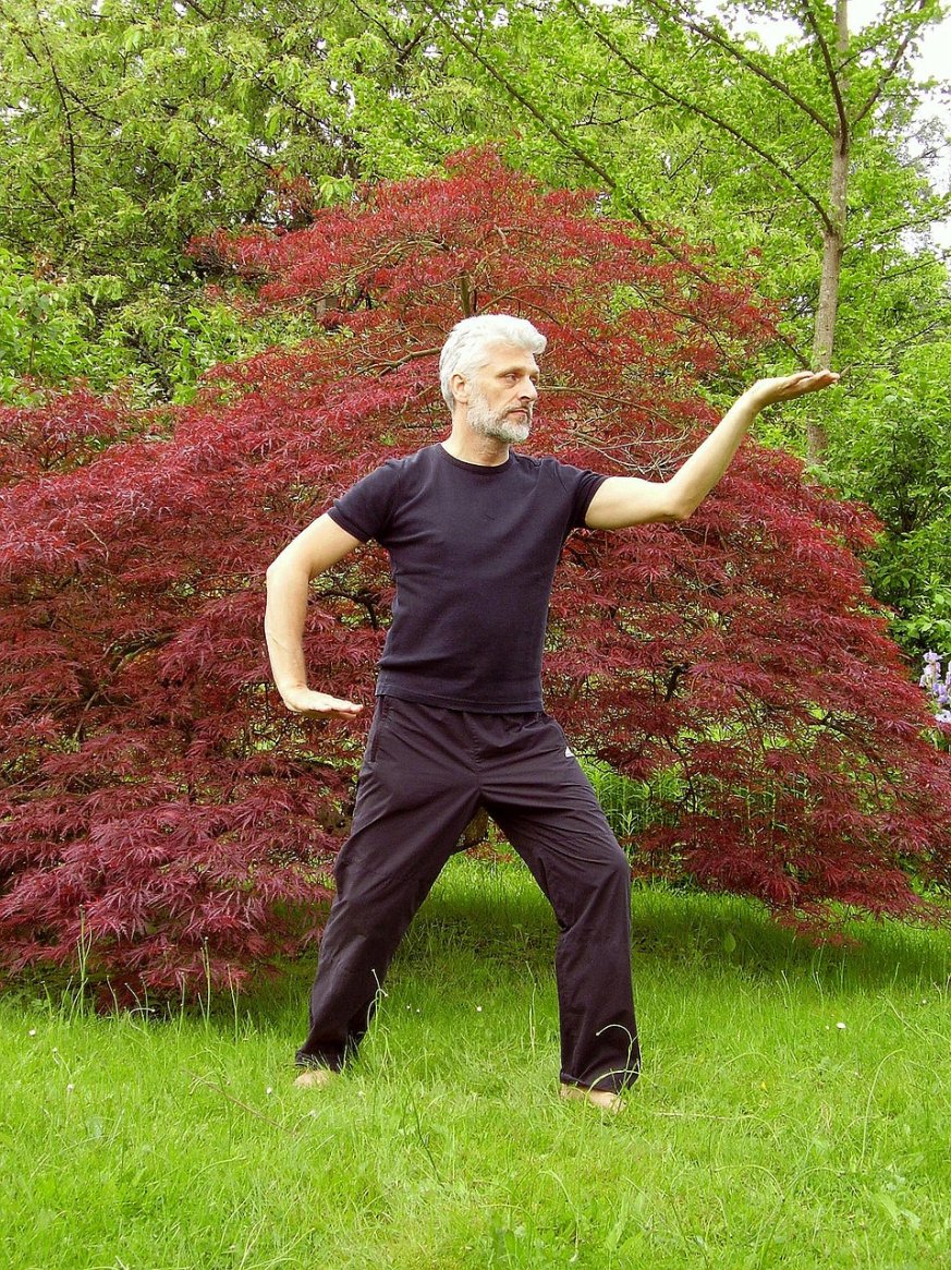 Man doing Tai Chi on the grass around trees