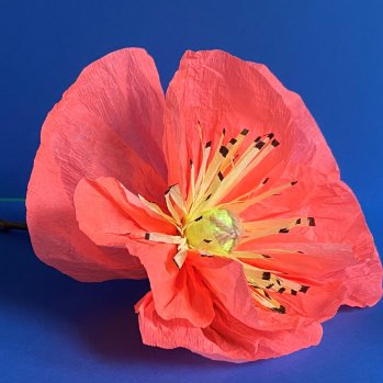 Crafternoon: Crepe Paper Flowers