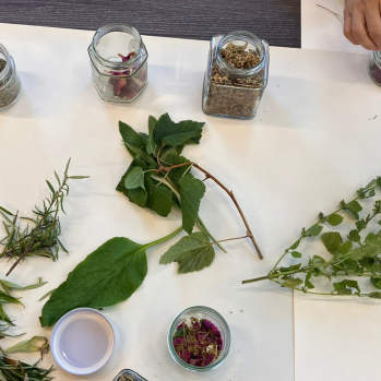 Historic paper ephemera