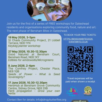 Bensham Bites free workshops