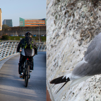 Foundation Press: Starting Lines