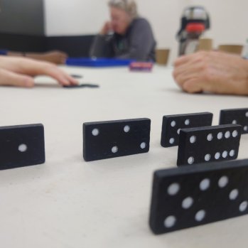 Image shows dominos