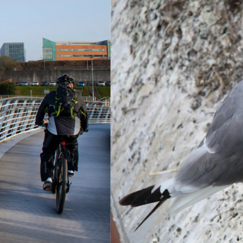 Birdwatch Bike Tour: Baltic to Gibside