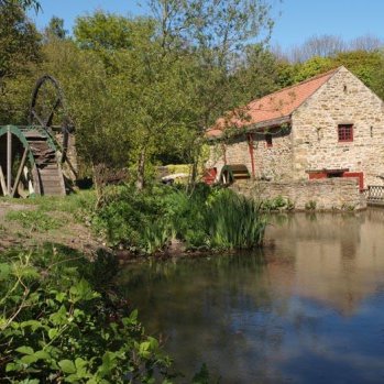 Photo of the mill behind a pond