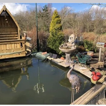 Our beautiful pond and viewing platform to watch the fish 