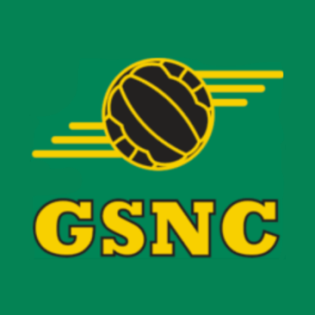 Gateshead Stadium Netball Club