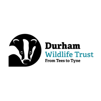 Black and white image of badger's head with The Wildlife Trusts, Durham written underneath
