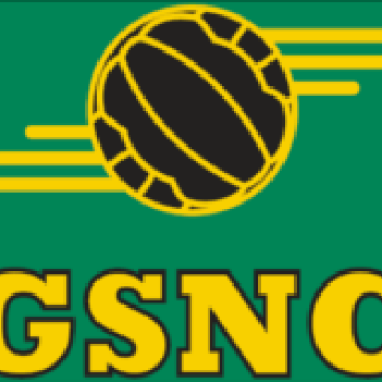 Gateshead Stadium Netball Club