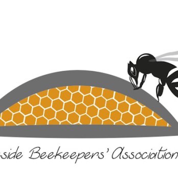 Logo of a single bee landing on honeycomb