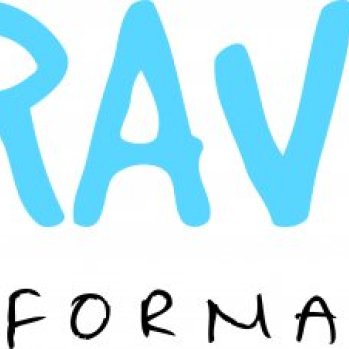 Bravo Performace