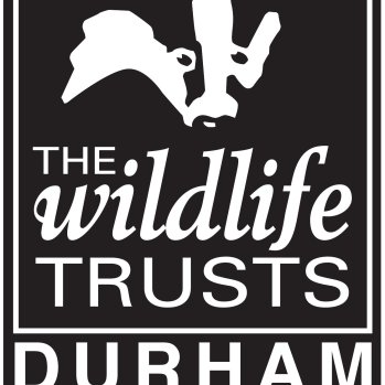 Black and white image of badger's head with The Wildlife Trusts, Durham written underneath