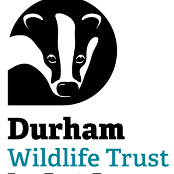Durham Wildlife Trust logo