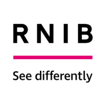 The RNIB logo: The Black Capital letter: R, N, I, B above a thick purple line. below the line the words: See Differently